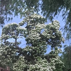 Meet your Posher, Jesse